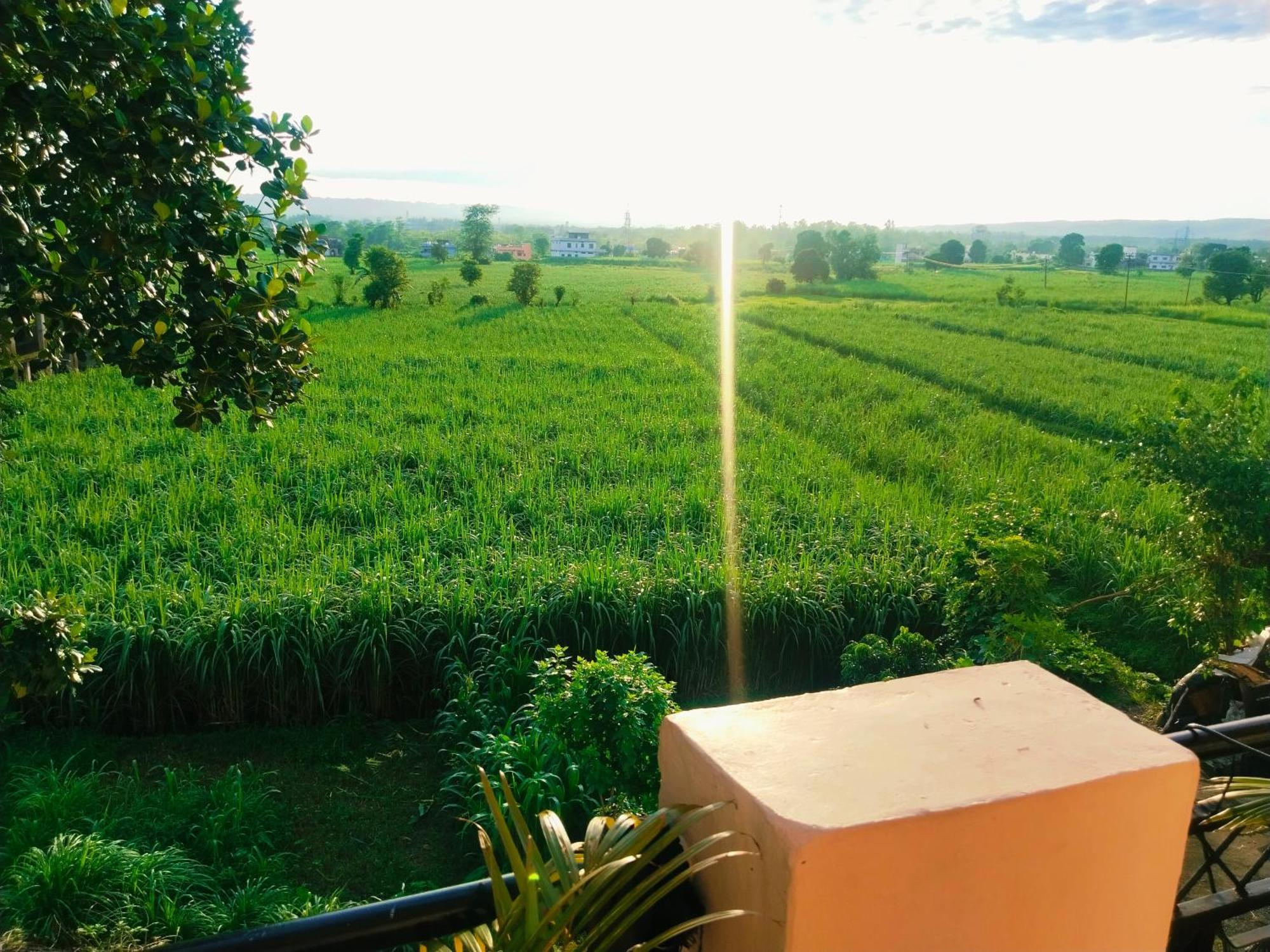 Airport Luxury Nature Homestay- Near Jolly Grant Airport Dehradun Doiwāla Exterior foto