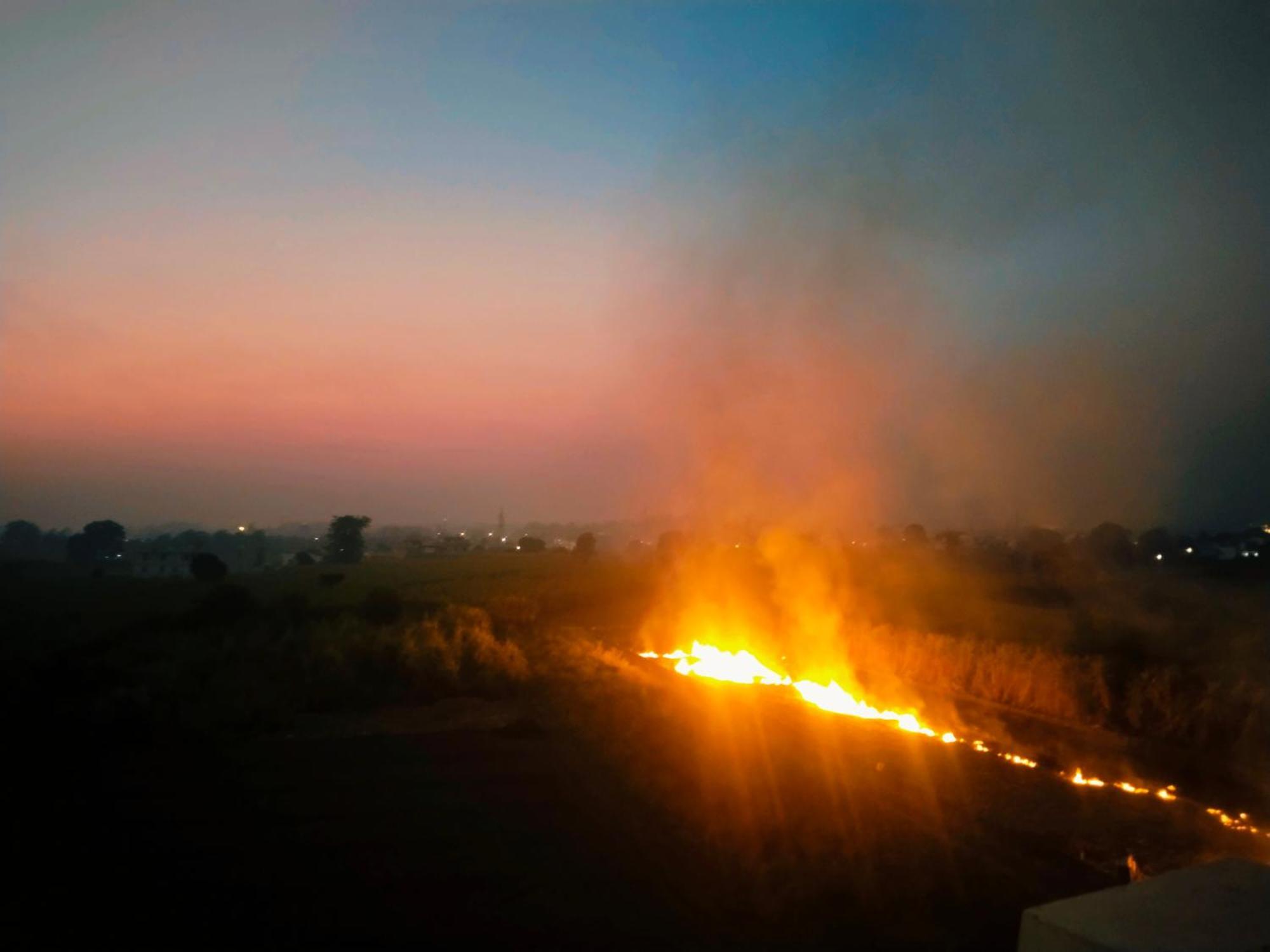 Airport Luxury Nature Homestay- Near Jolly Grant Airport Dehradun Doiwāla Exterior foto