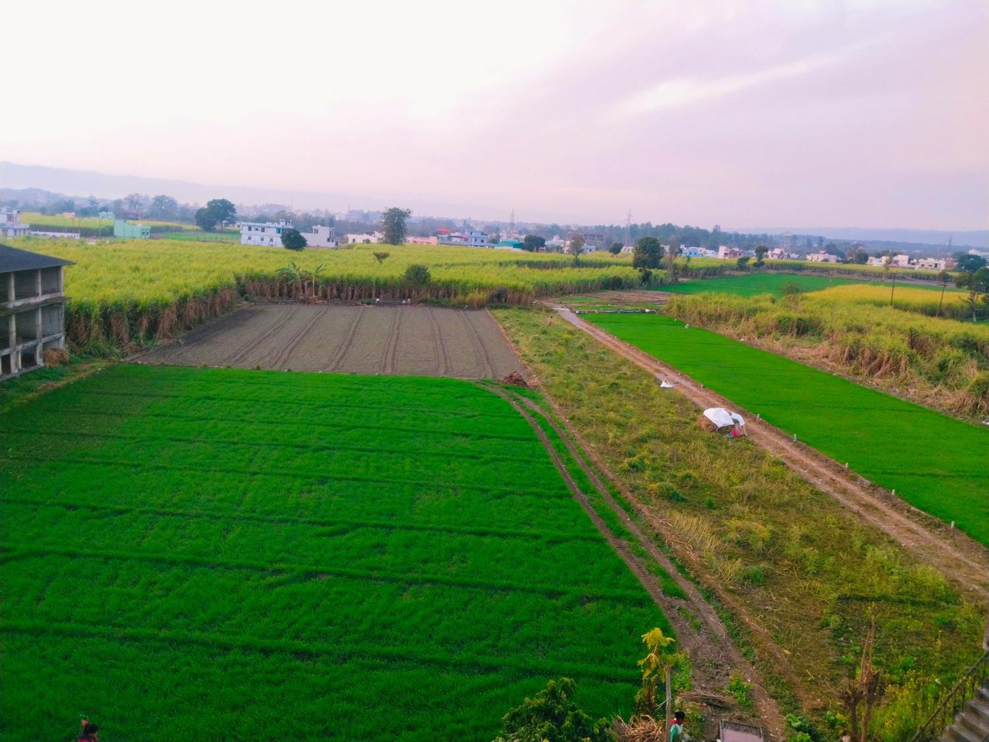 Airport Luxury Nature Homestay- Near Jolly Grant Airport Dehradun Doiwāla Exterior foto
