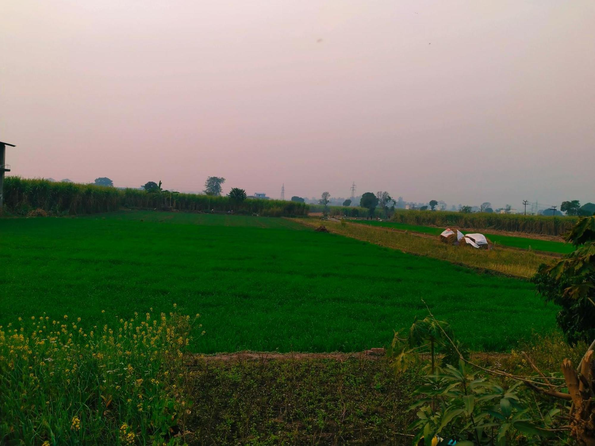 Airport Luxury Nature Homestay- Near Jolly Grant Airport Dehradun Doiwāla Exterior foto