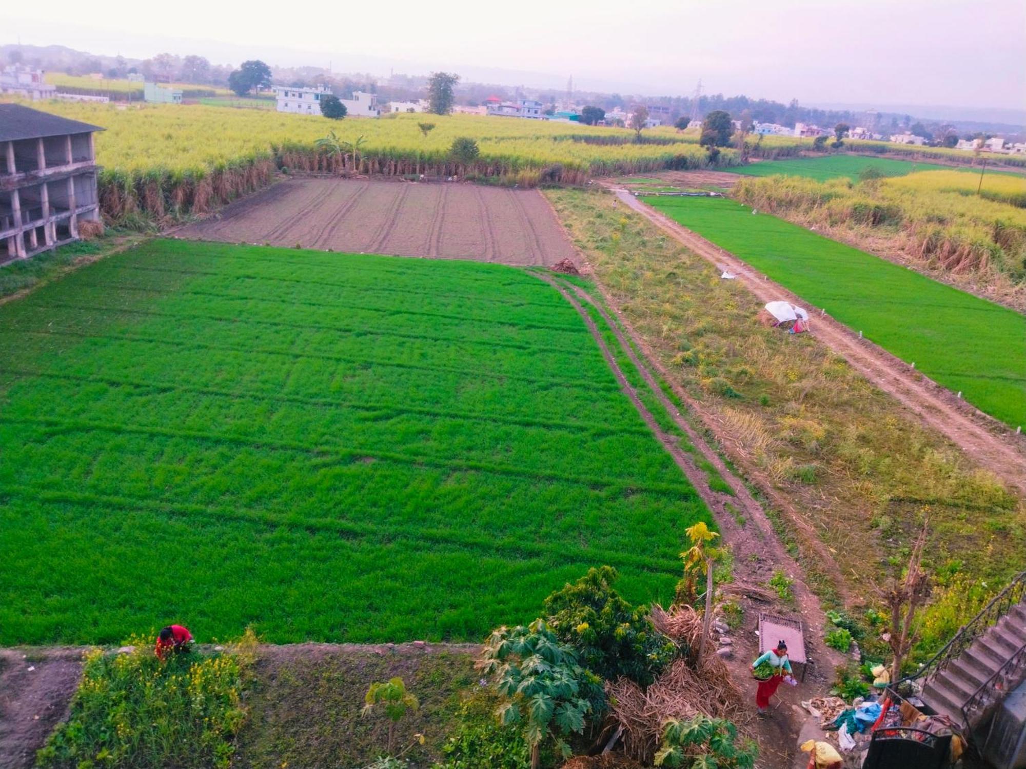 Airport Luxury Nature Homestay- Near Jolly Grant Airport Dehradun Doiwāla Exterior foto