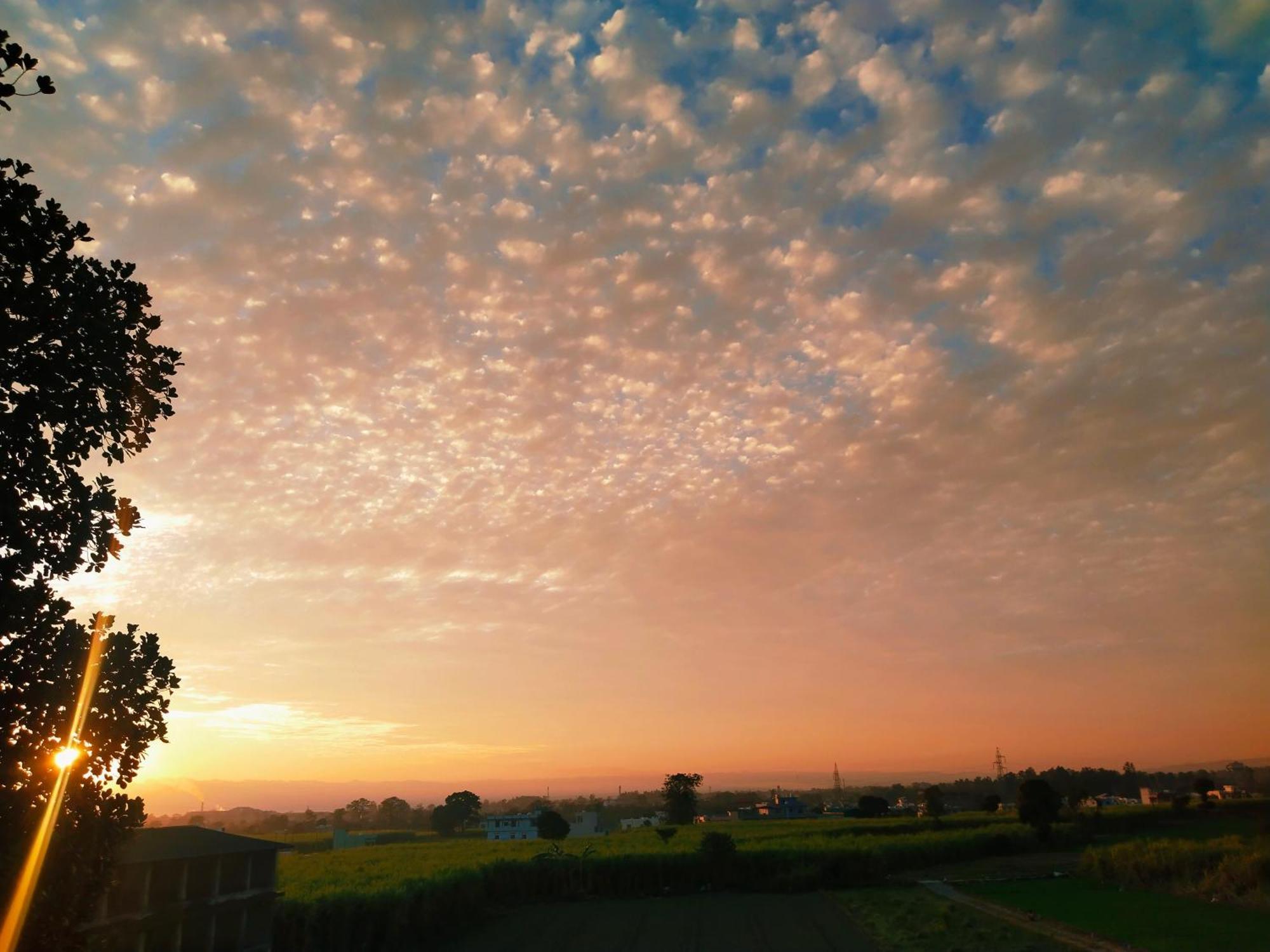 Airport Luxury Nature Homestay- Near Jolly Grant Airport Dehradun Doiwāla Exterior foto